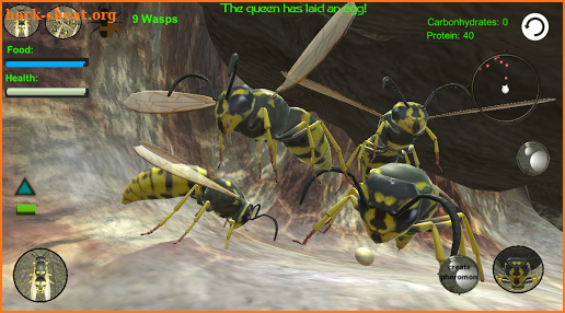 Wasp Nest Simulator - Insect and 3d animal game screenshot