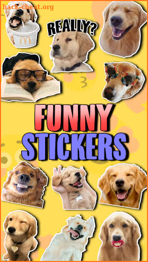 🐕 WAstickerApps Golden Retriever Stickers Memes screenshot