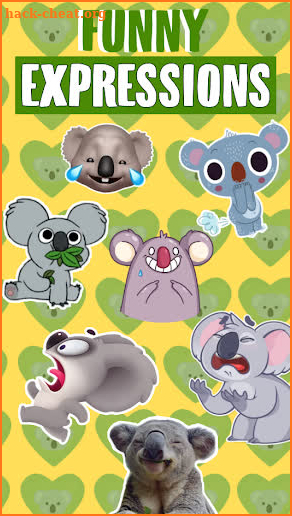 🐨 WAstickerApps Koalas Funny Memes Stickers screenshot