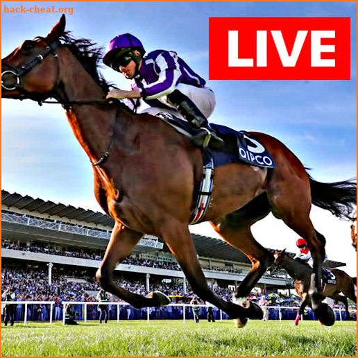 Watch Horse Racing Live Streaming FREE screenshot