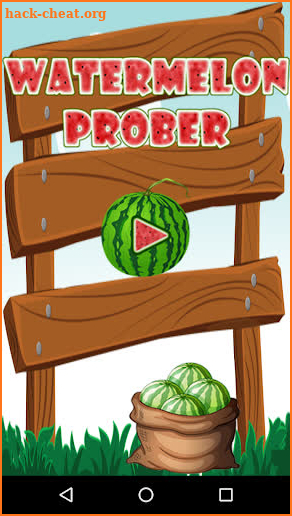 Watermelon Prober screenshot