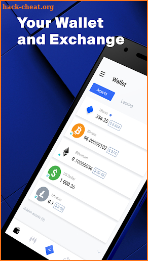 Waves – Bitcoin Wallet screenshot