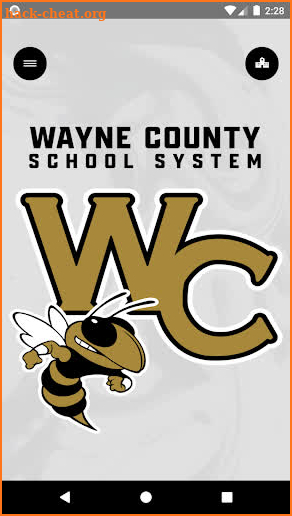 Wayne County GA Schools screenshot