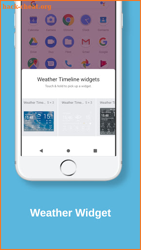 Weather Forecast: radar, graph, widget, timeline screenshot