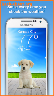 Weather Puppy screenshot