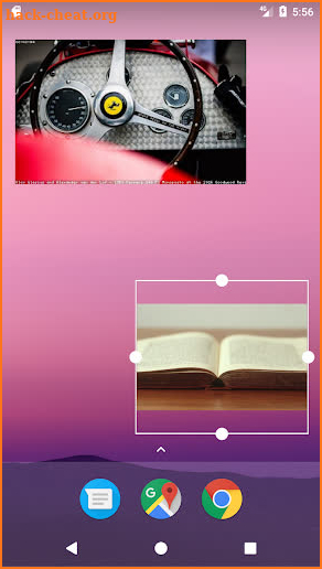 Web Image Widget screenshot