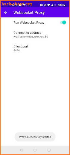 WebSocket Proxy screenshot