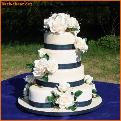 Wedding Cake Recipes screenshot