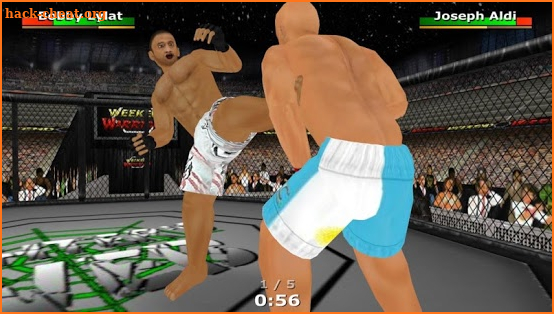 Weekend Warriors MMA screenshot