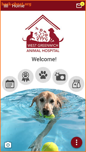 West Greenwich Animal Hospital screenshot
