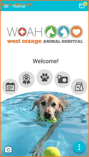 West Orange Animal Hospital screenshot