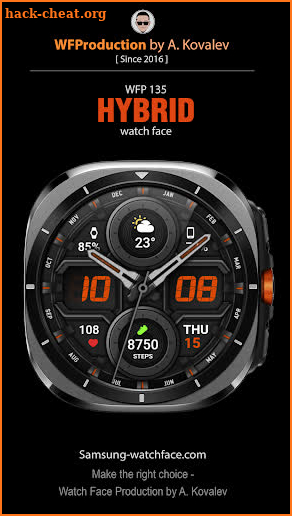 WFP 135 Hybrid watch face screenshot