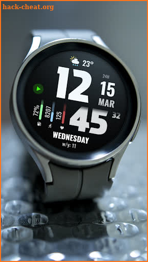 WFP 219 Digital watch face screenshot