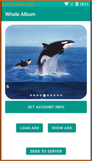Whale Album screenshot