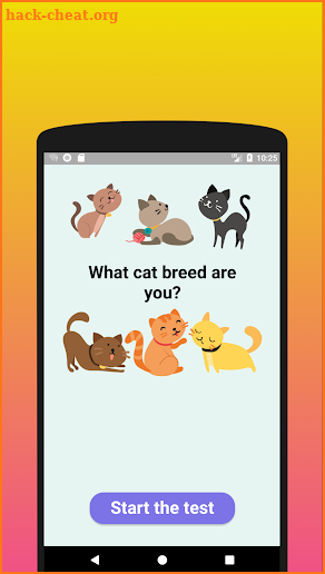 What cat breed are you? Test screenshot