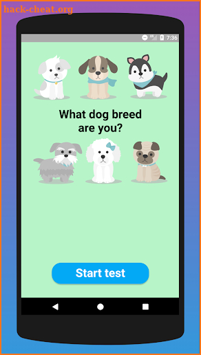 What dog breed are you? Test screenshot