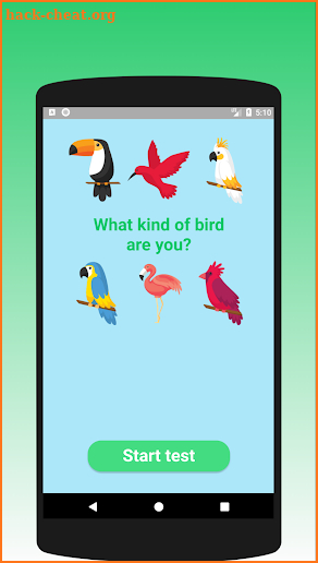 What kind of bird are you? Test screenshot