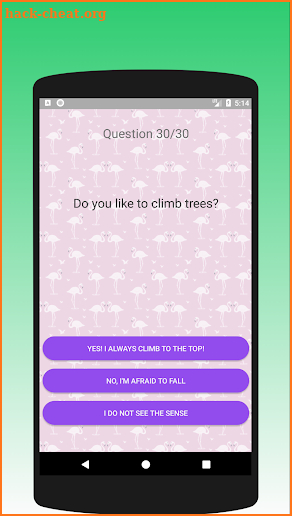 What kind of bird are you? Test screenshot