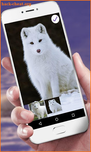 White Fox Lock Screen screenshot