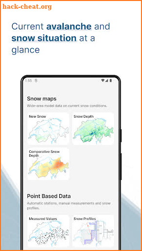 White Risk - SLF Avalanche App screenshot
