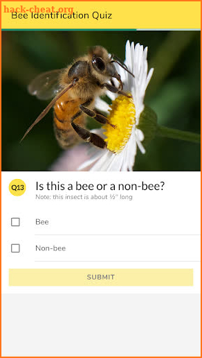 WiBee: The Wisconsin Wild Bee App screenshot