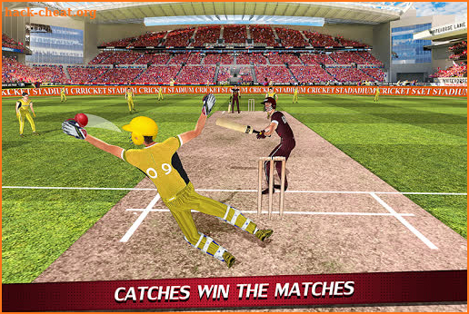 Wicket Keeper 2019: Cricket Cup screenshot