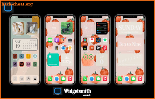 Widgetsmith Premium 2021 For android Guide  Tips screenshot