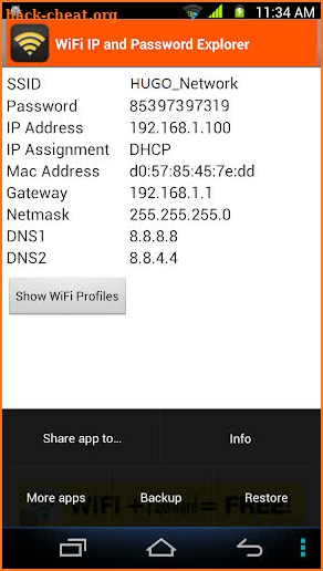 WiFi Password, IP, DNS screenshot