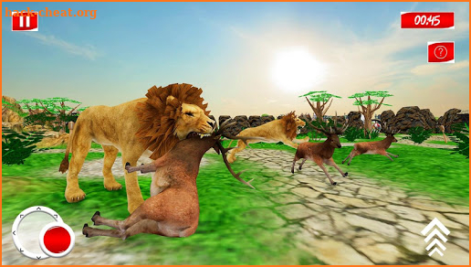 Wild Angry Lion Adventure 2020 screenshot