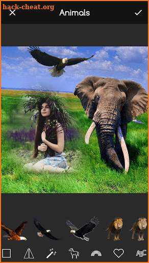 Wild Animal Frames for Pictures screenshot