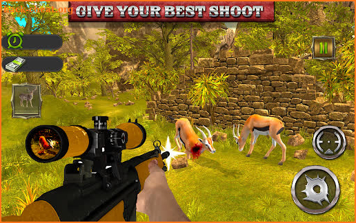 Wild Animal Hunter Snipper screenshot