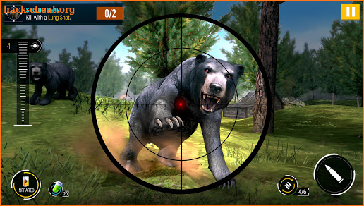 Wild Animal Hunting 2020 Free screenshot