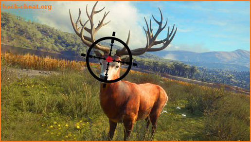 Wild Animal Hunting Game 3D screenshot
