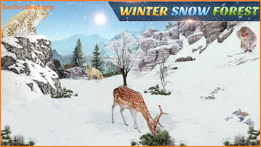 Wild Animal Hunting Games screenshot