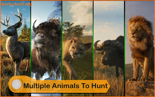 Wild Animal Hunting Games 2021: FPS Animal Hunter screenshot