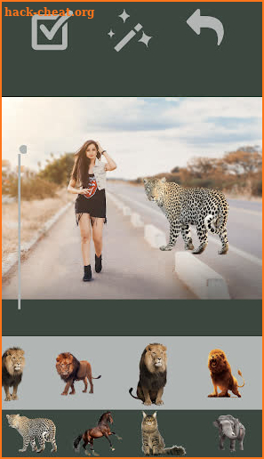 Wild Animal Photo Editor 2020: Animal Photo Frames screenshot