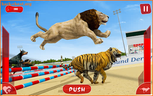 Wild Animal Racing Simulator screenshot