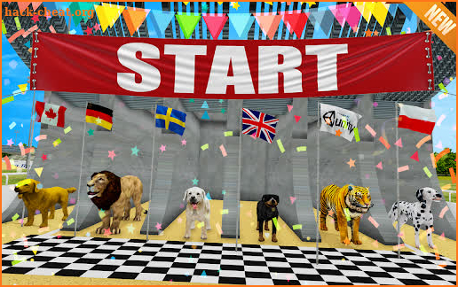 Wild Animal Racing Simulator screenshot