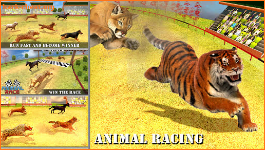 Wild Animal Racing Tournament 2019: Dog Racing screenshot
