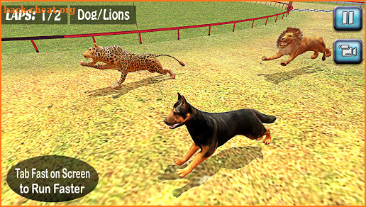 Wild Animal Racing Tournament 2019: Dog Racing screenshot