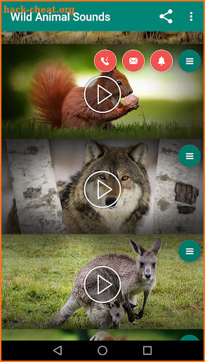Wild Animal Sounds For Kids - Animals Ringtones screenshot