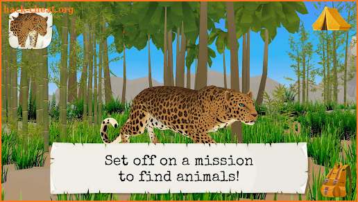 Wild Animals - Safari & Jungle screenshot