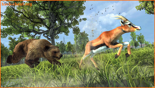 Wild Bear Attack Simulator 3D screenshot