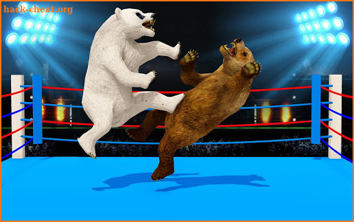 Wild Bear Ring Fighting: Wild Animal Adventure screenshot