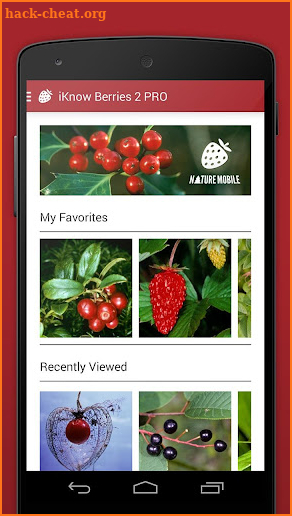 Wild Berries and Herbs 2 PRO screenshot