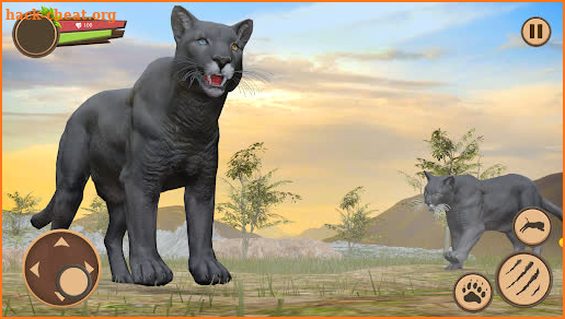 Wild Black Panther Games screenshot