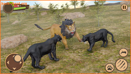 Wild Black Panther Games screenshot