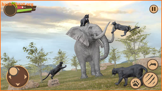 Wild Black Panther Games screenshot