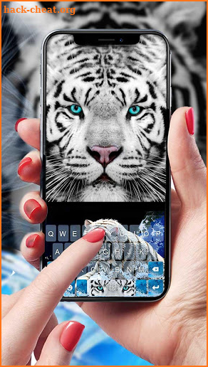 Wild Cheetah Keyboard Theme screenshot