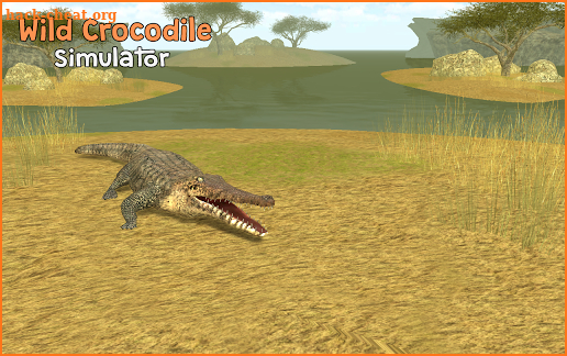 Wild Crocodile Simulator 3D screenshot
